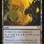 Sunken Ruins - Shadowmoor (SHM)